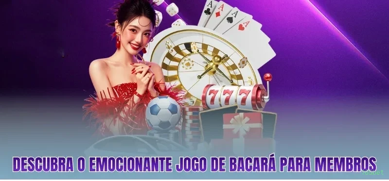 Suporte VIP 765bet - atendimento prioritário